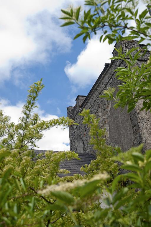 Finnstown Castle Hotel Lucan Exteriér fotografie